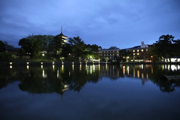 Nara, Japan - night view