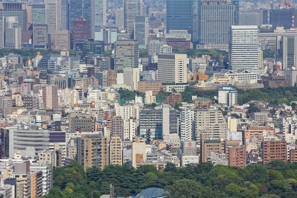 Tokyo cityscape view