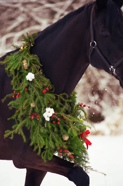 Portrait of black horse with christmas wreath