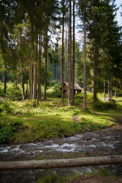 Wooden house in forest