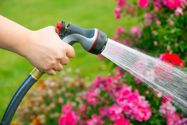 Watering garden with  flowers