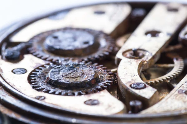 Rusty gears in an old pocket watch