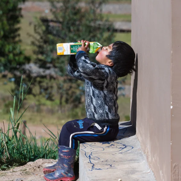 Young andean boy drinking juice