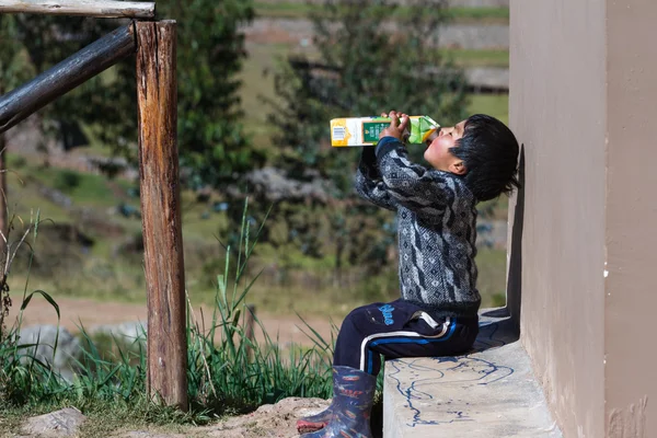 Young andean boy drinking juice