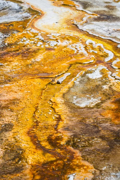 Mineral formations in yellowstone