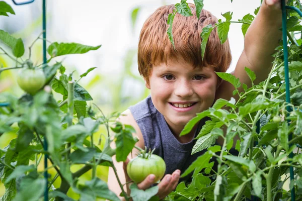 Young gardener