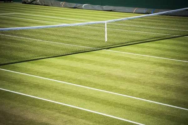 Tennis court and net