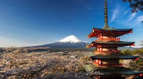 Beautiful panorama view of Mountain Fuji and Chureito Pagoda with cherry blossom in spring, Fujiyoshida, Japan