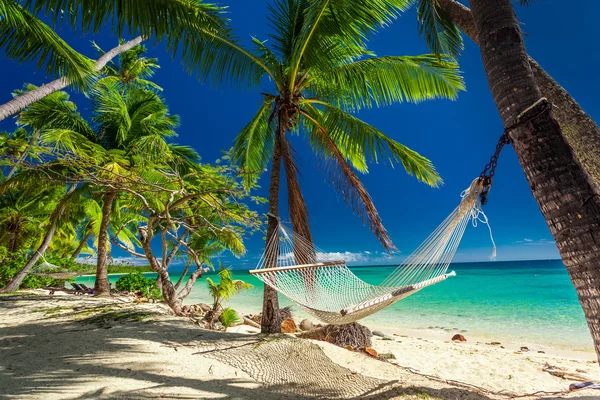 Empty hammock in shade