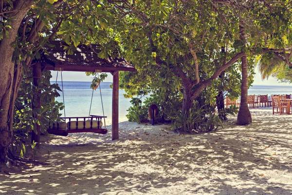 Swing with Beautiful Sun Sea Sand and Sky in Maldive, luxury tro