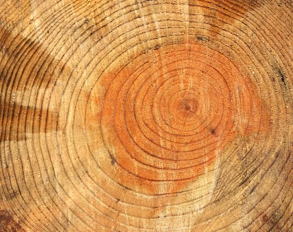 Circular Wood Texture