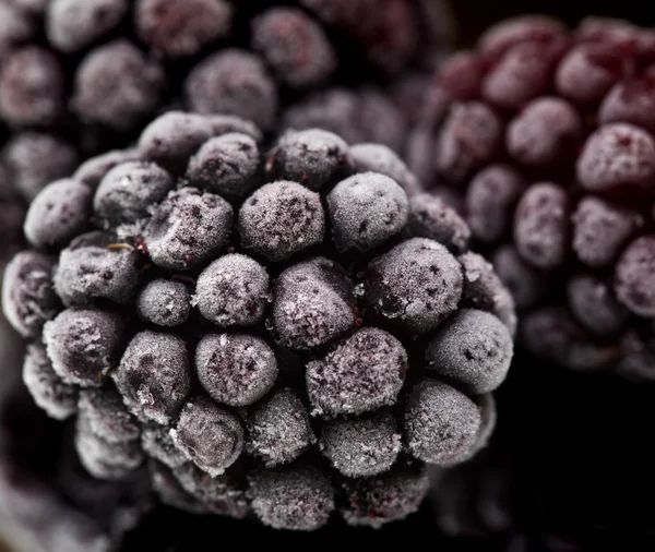 Frozen blackberry macro
