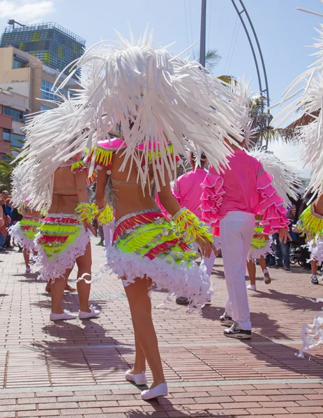 Las Palmas de Gran Canaria Beach carnival 2015 parade on the Las