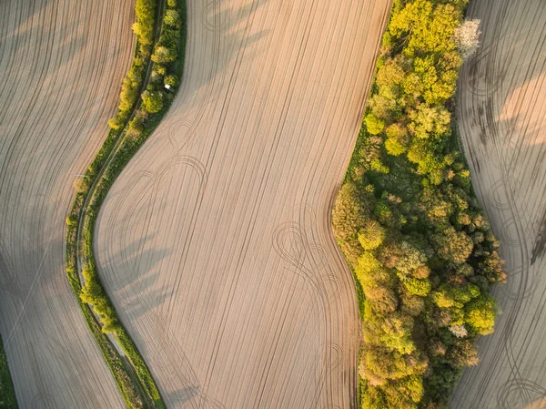 Farmland from above - aerial image of a lush green filed