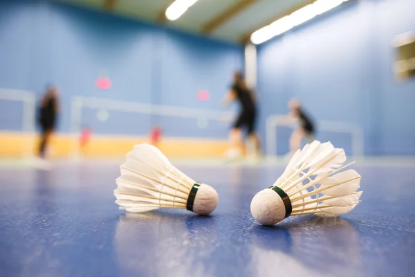 Badminton - badminton courts with players competing