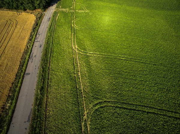 Farmland from above - aerial image of a lush green filed