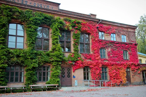 Old building on the campus grounds of Lund university in Sweden