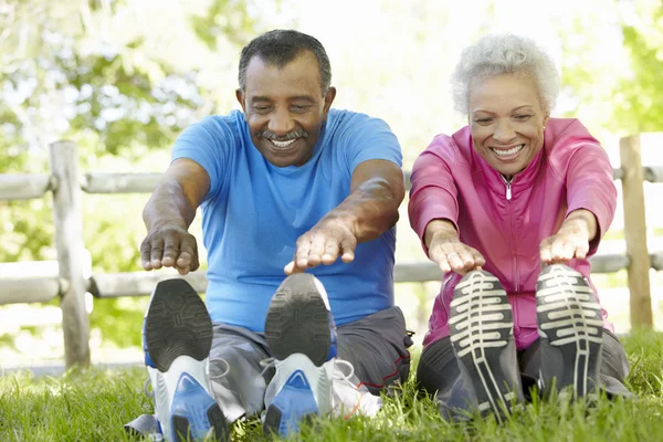 Senior Couple Exercising In Park