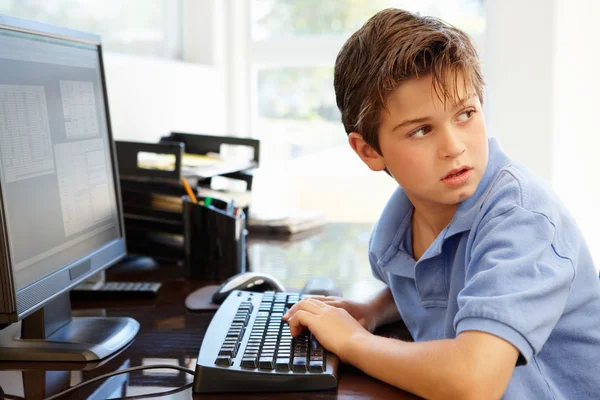 Young boy using computer