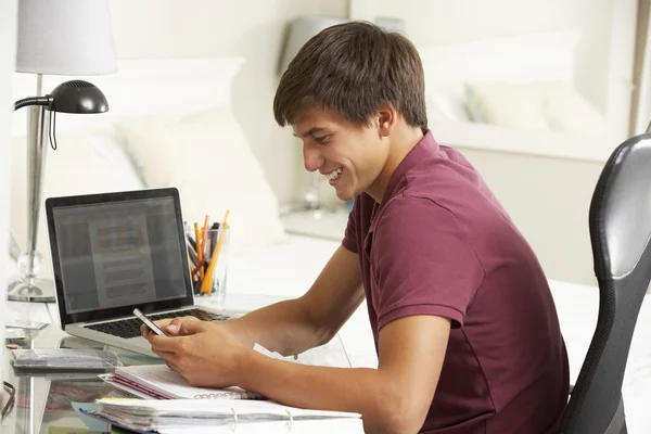 Teenage Boy Studying At Desk