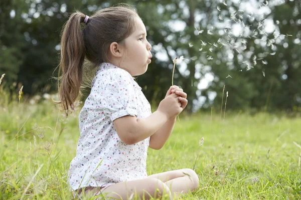 Girl Blowing Seeds From Dandelion