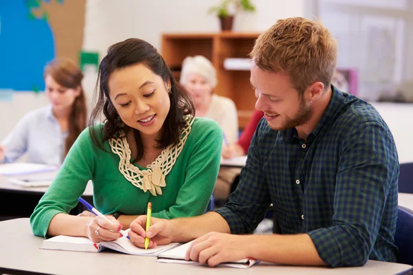 Teacher and student working together