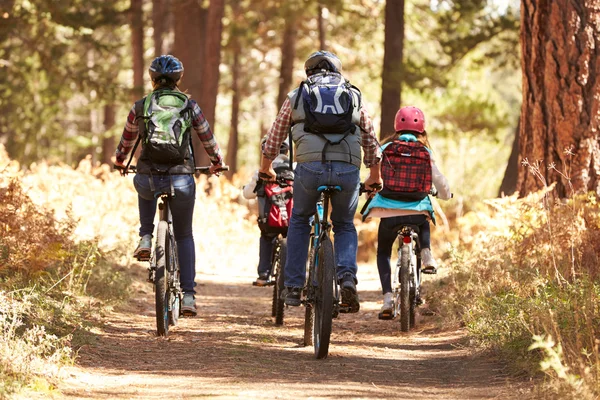 Family mountain biking on forest trail