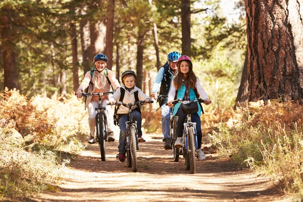 Grandparents and kids cycling on forest trail