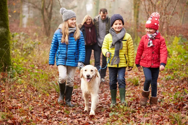 Family Walking Dog Through  Forest