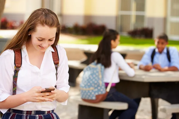 Student Using Phone On School Campus