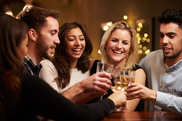 Group Of Friends Enjoying Drinks In Bar