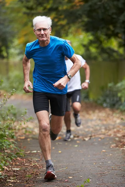 Mature Male Joggers Running
