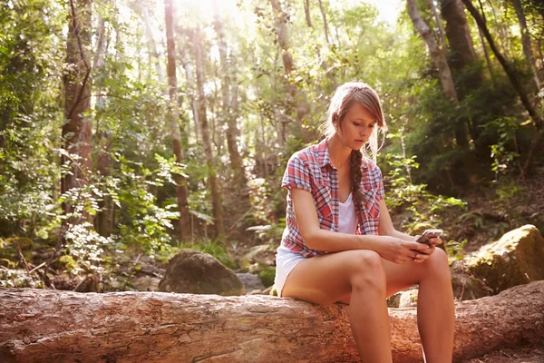 Woman Using Mobile Phone In Forest