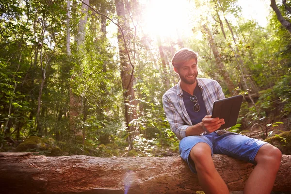 Man Using Digital Tablet in Forest