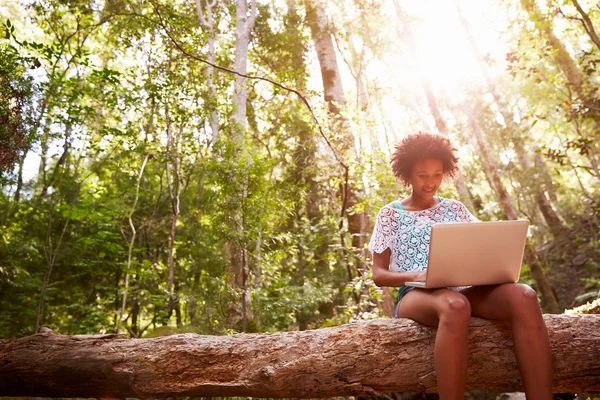 Woman Using Laptop In Forest