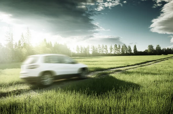 Spring field and blured car on ground road