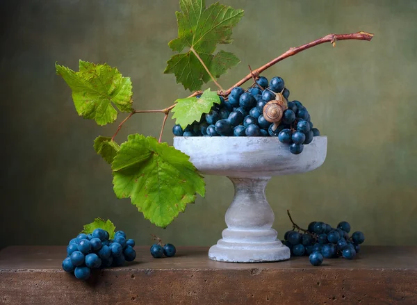 Still life with grapes in a vase and snail