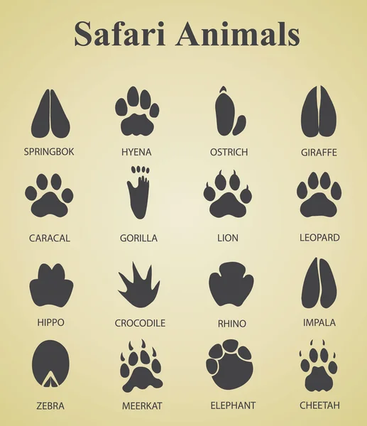 Set of safari animal tracks