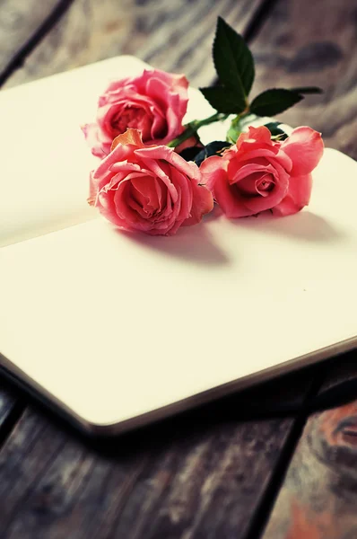 Elegant open book with pink roses