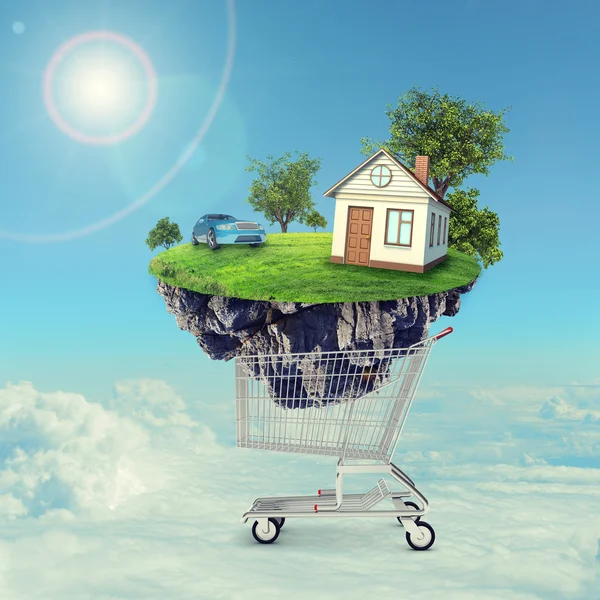 House and car on island in shopping cart
