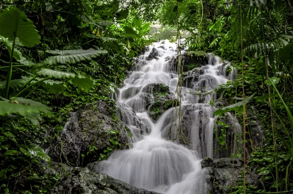 Tropical waterfall in the Mexican rainforest