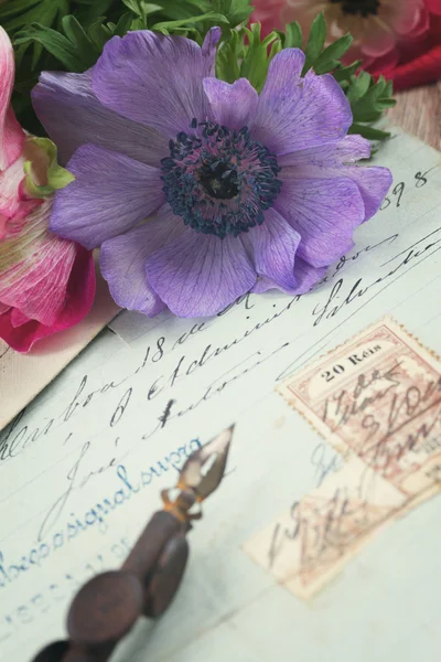 Quill pen and antique letters with anemone flowers