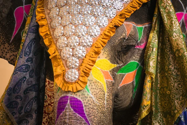 Indian elephant in a festive coloration