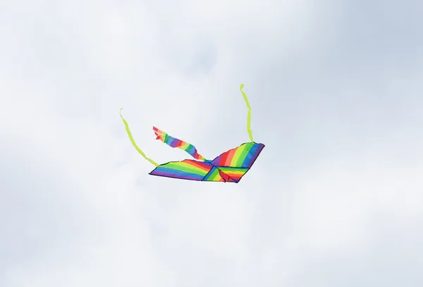 Flying kite in the air against the grey sky