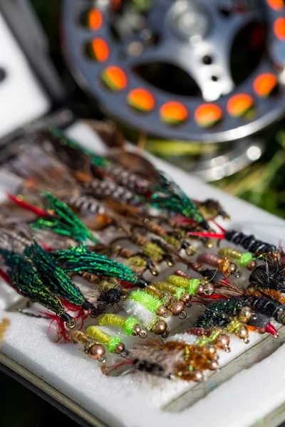 Fly fishing bugs and road with real