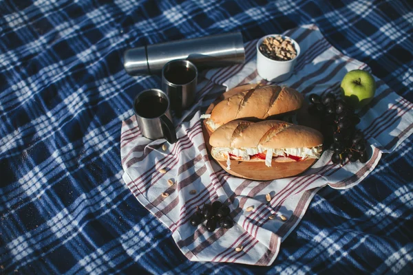 Picnic on the plaid. Sandwiches, fruit and tea