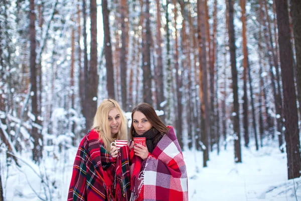 Two girls sheltered plaid hold mugs a drink in a snowy forest