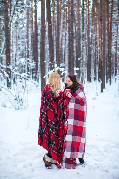 Two girls sheltered plaid hold mugs a drink in a snowy forest