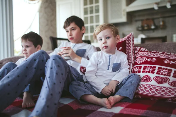 Young brothers in identical pajamas holding mugs of milk sitting on a sofa