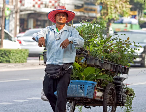 Vendor seedlings in Bangkok Thailand